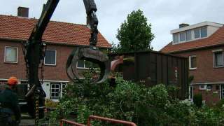 het versnipperen van een sierkers in best. het voordeel van versnipperen is veel minder volume en het hout wordt hergrbruikt voor groene stroom